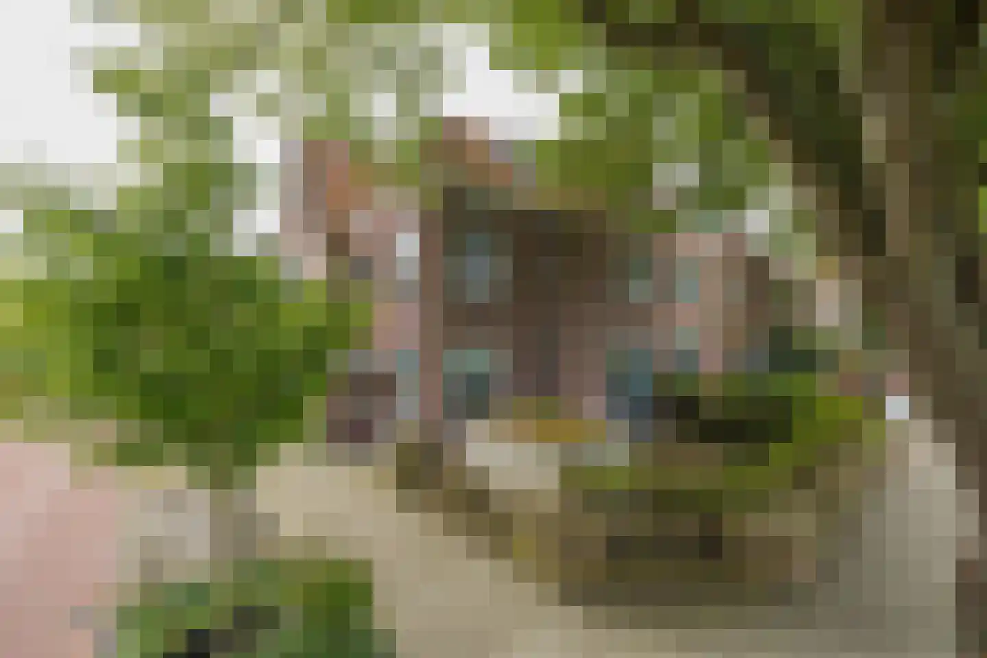 Roodborststraat 54 Leiden thumbnail 4