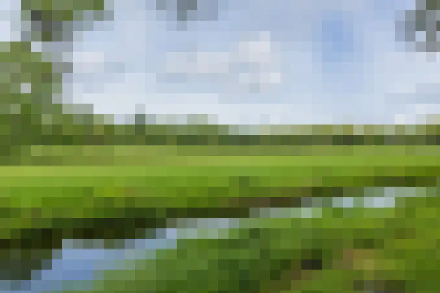 Roodborststraat 54 Leiden thumbnail 5