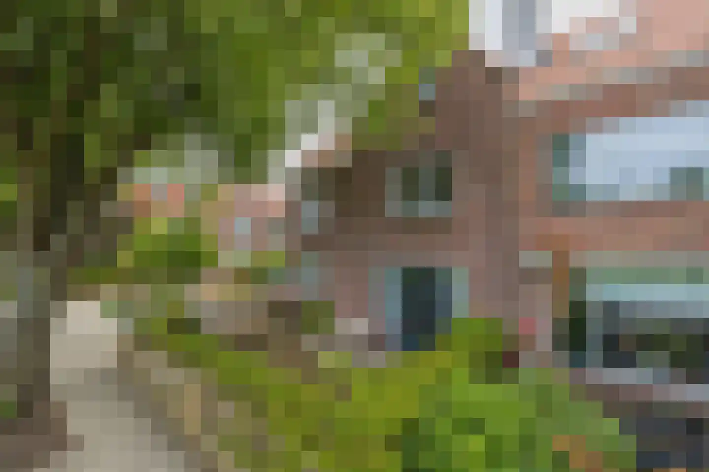 Roodborststraat 54 Leiden thumbnail 6
