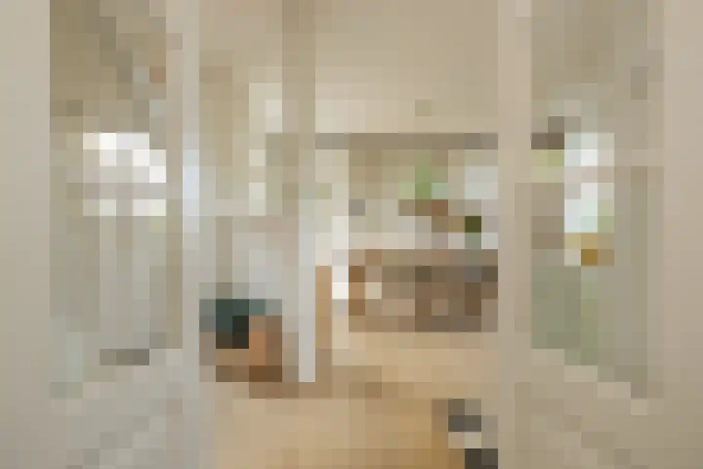 Roodborststraat 54 Leiden thumbnail 9