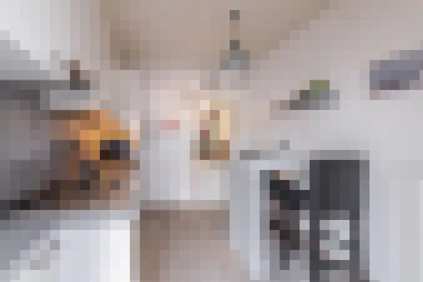 Rooddorpstraat 16 Venlo thumbnail 12