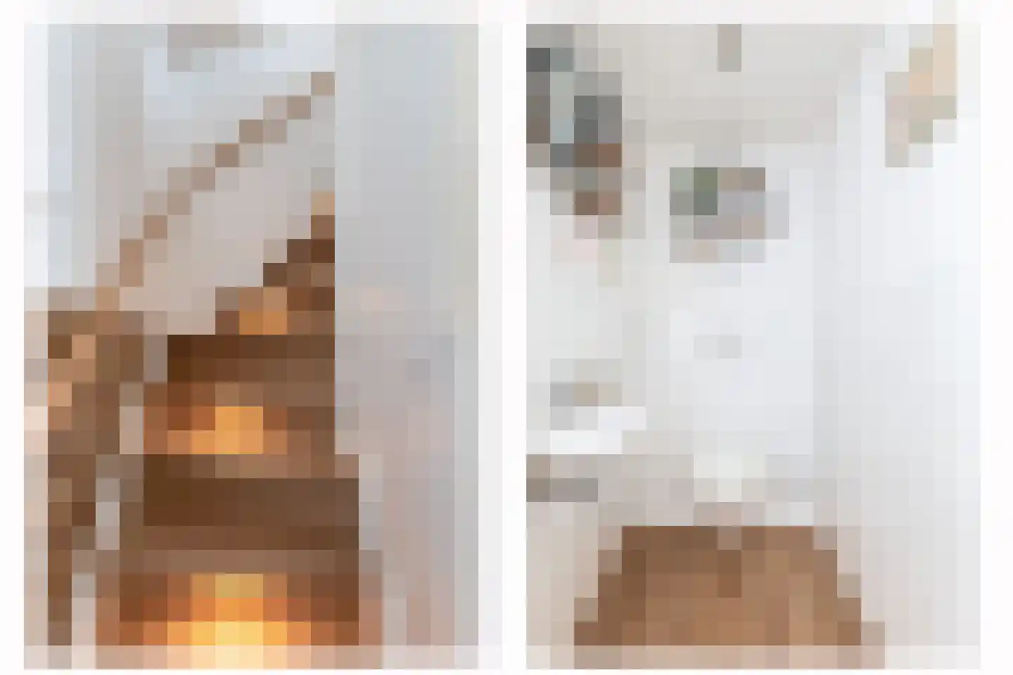 Rooddorpstraat 16 Venlo thumbnail 22