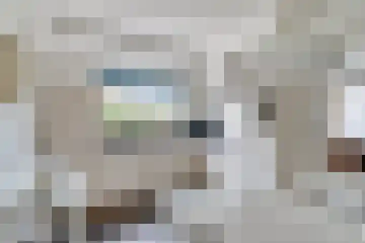 Roode Beek 20 Chaam thumbnail 16