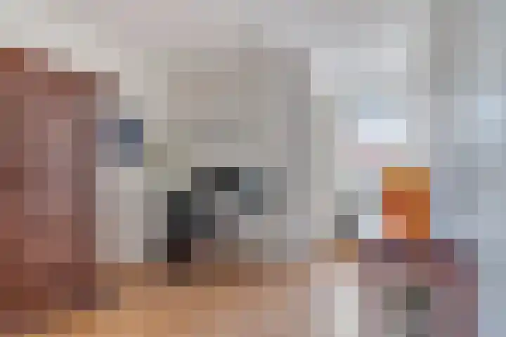 Roode Beek 20 Chaam thumbnail 19