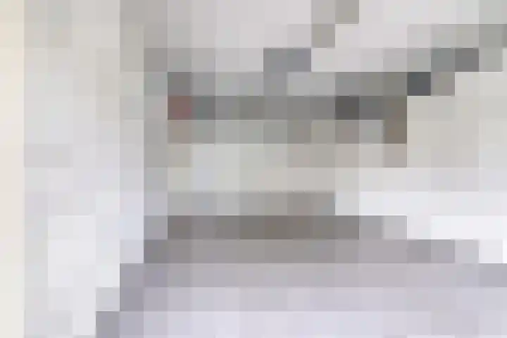 Roode Beek 20 Chaam thumbnail 20