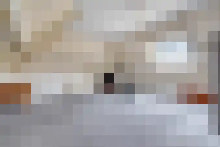 Roode Beek 20 Chaam thumbnail 27