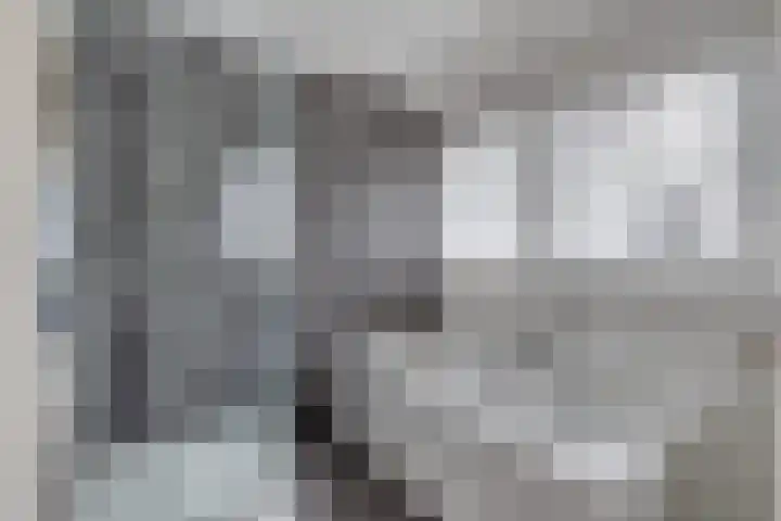 Roode Beek 20 Chaam thumbnail 31
