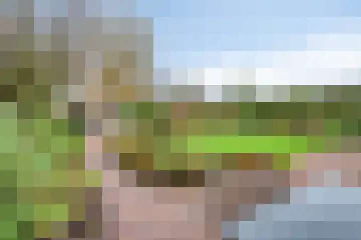 Roode Beek 20 Chaam thumbnail 32