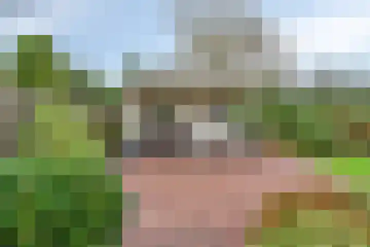 Roode Beek 20 Chaam thumbnail 33
