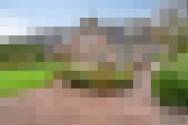 Roode Beek 20 Chaam thumbnail 34