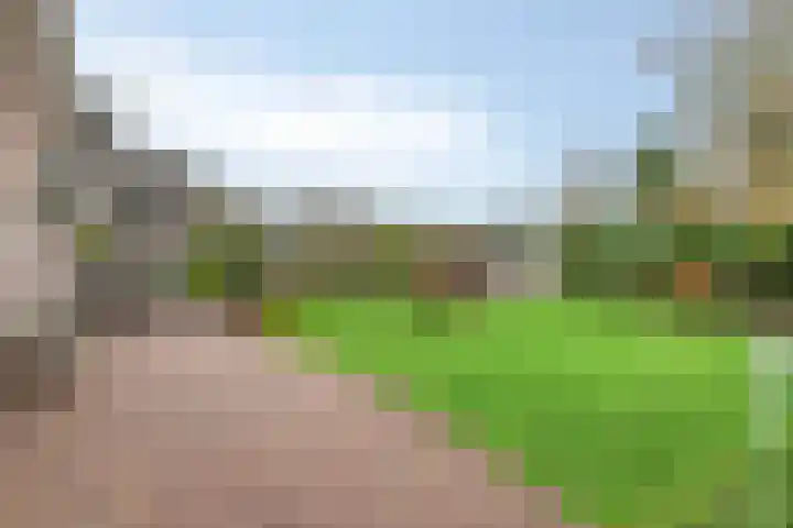 Roode Beek 20 Chaam thumbnail 37