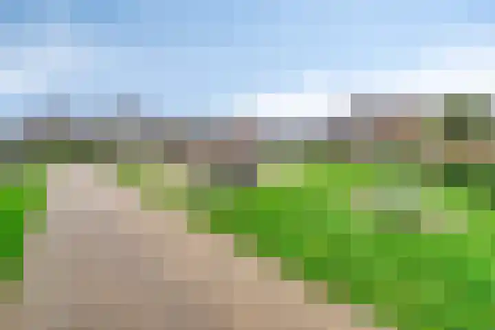 Roode Beek 20 Chaam thumbnail 40