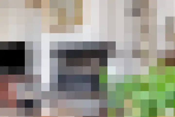 Roode Beek 20 Chaam thumbnail 8