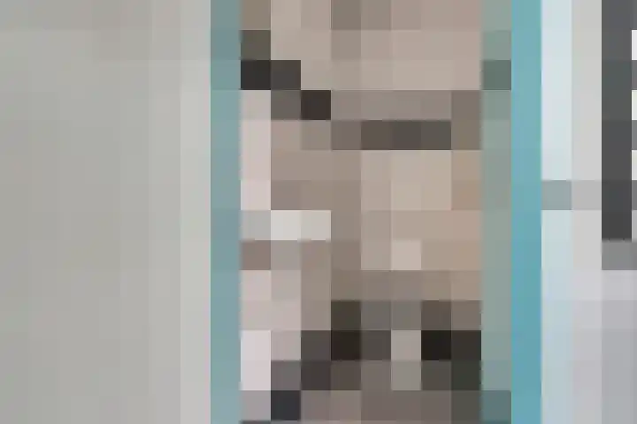 Roode Beek 3 Chaam thumbnail 12