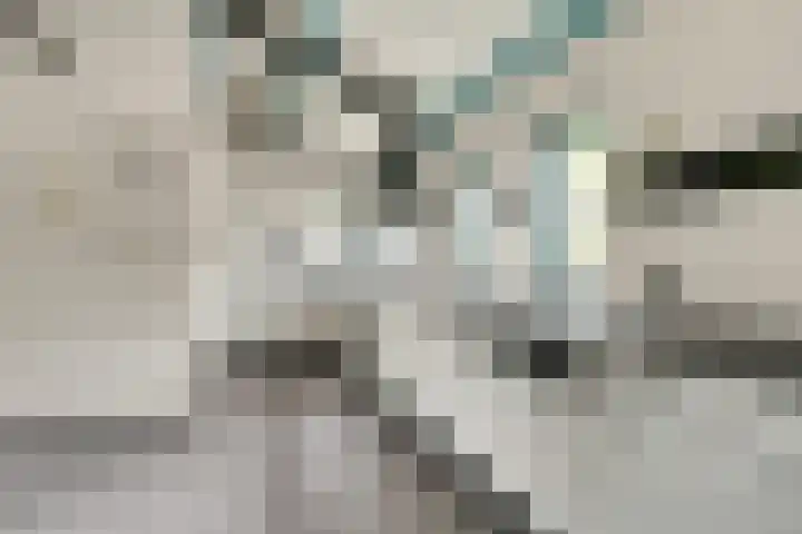 Roode Beek 3 Chaam thumbnail 19