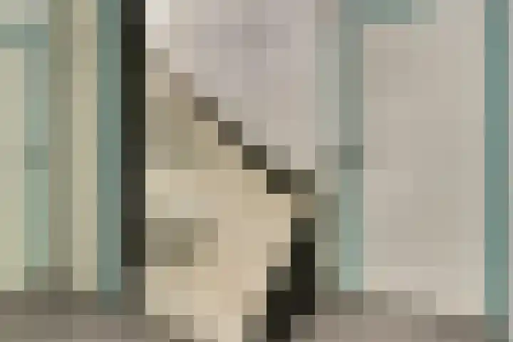 Roode Beek 3 Chaam thumbnail 21