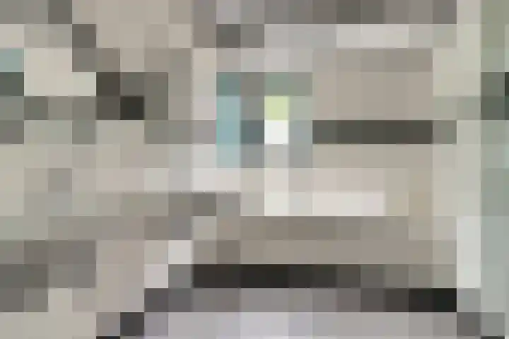 Roode Beek 3 Chaam thumbnail 24
