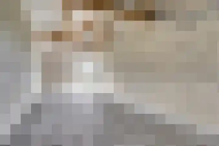 Roode Beek 3 Chaam thumbnail 27