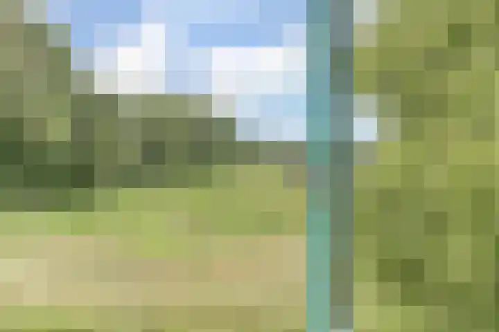 Roode Beek 3 Chaam thumbnail 39