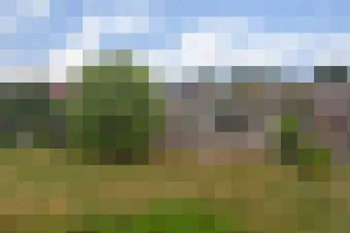 Roode Beek 3 Chaam thumbnail 4