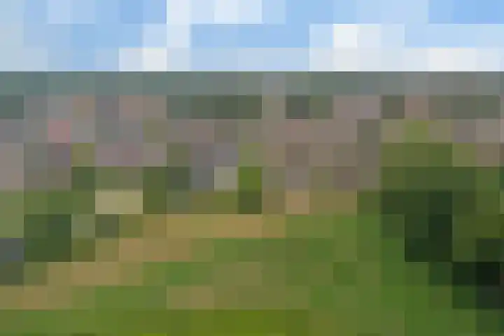 Roode Beek 3 Chaam thumbnail 40
