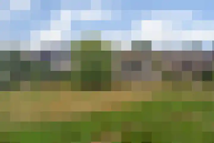 Roode Beek 3 Chaam thumbnail 41