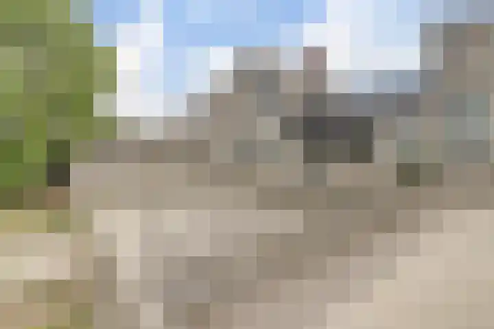 Roode Beek 3 Chaam thumbnail 44