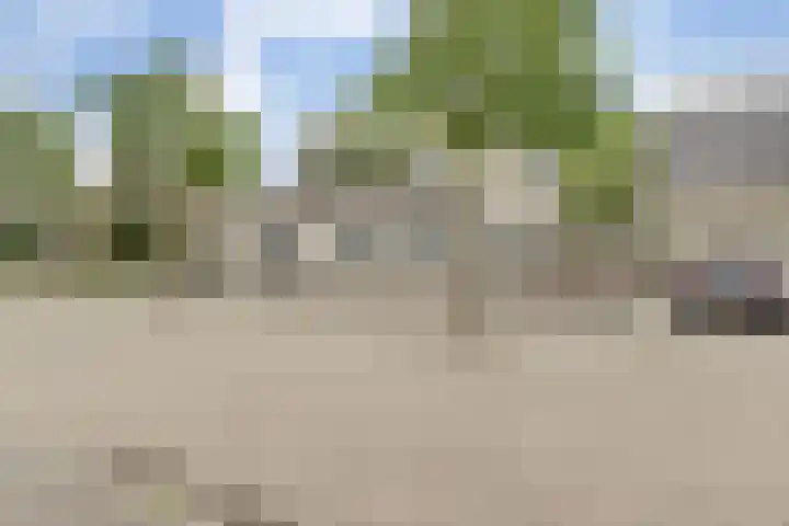 Roode Beek 3 Chaam thumbnail 47