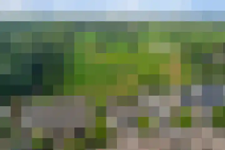 Roode Beek 3 Chaam thumbnail 48