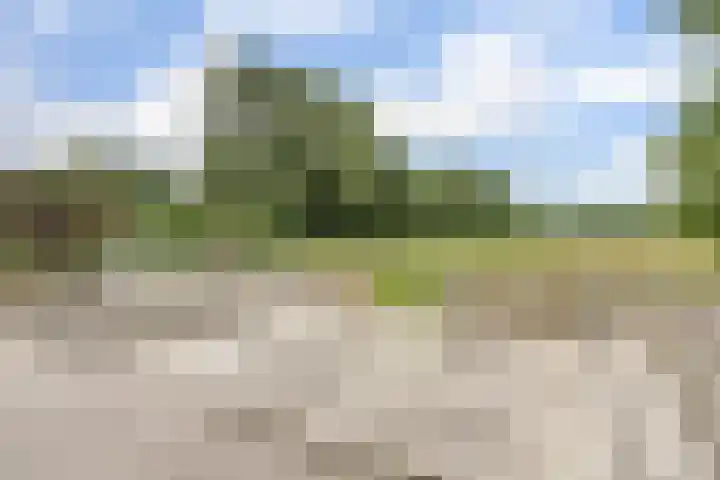 Roode Beek 3 Chaam thumbnail 7