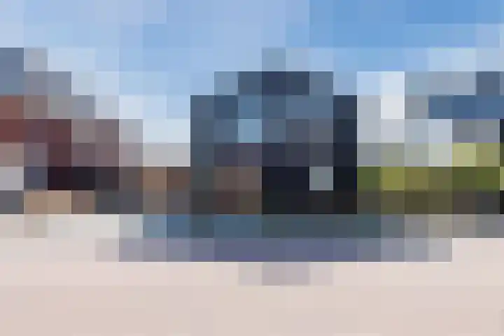 Roode Hert 15 Zeewolde