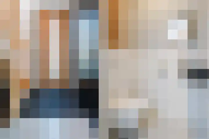 Roode Hert 15 Zeewolde thumbnail 14