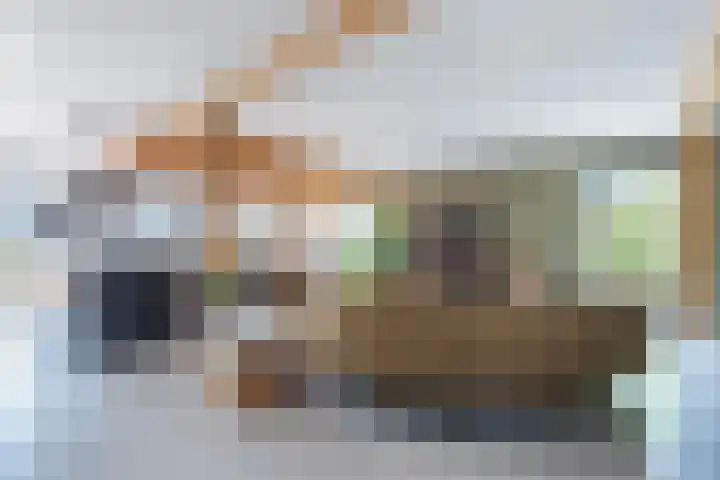 Roode Hert 15 Zeewolde thumbnail 16