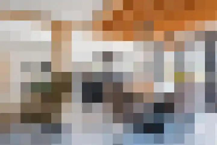 Roode Hert 15 Zeewolde thumbnail 19
