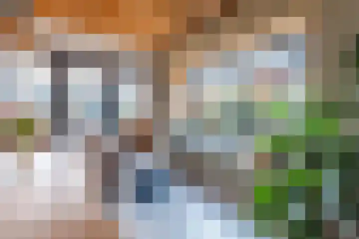 Roode Hert 15 Zeewolde thumbnail 20