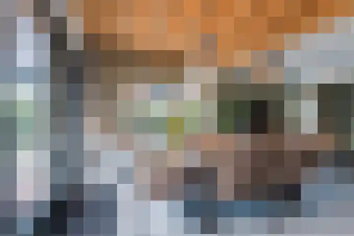 Roode Hert 15 Zeewolde thumbnail 21