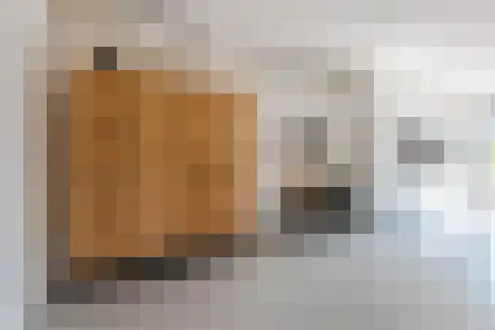 Roode Hert 15 Zeewolde thumbnail 25
