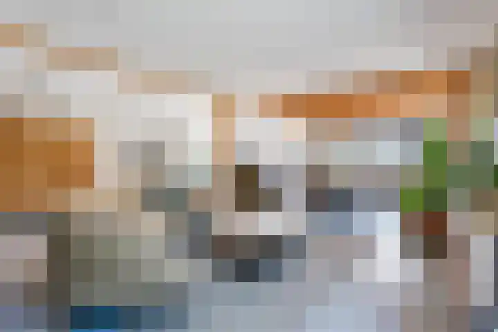 Roode Hert 15 Zeewolde thumbnail 29