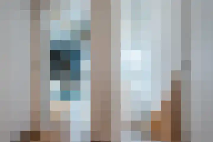 Roode Hert 15 Zeewolde thumbnail 32