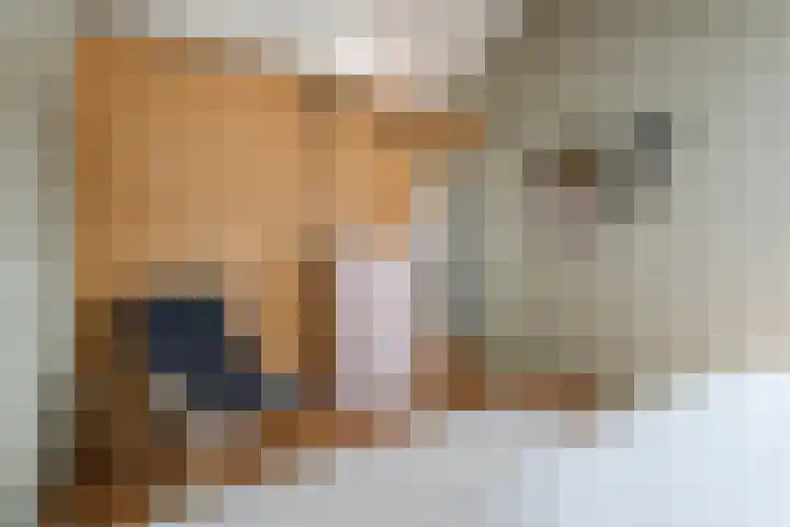 Roode Hert 15 Zeewolde thumbnail 37
