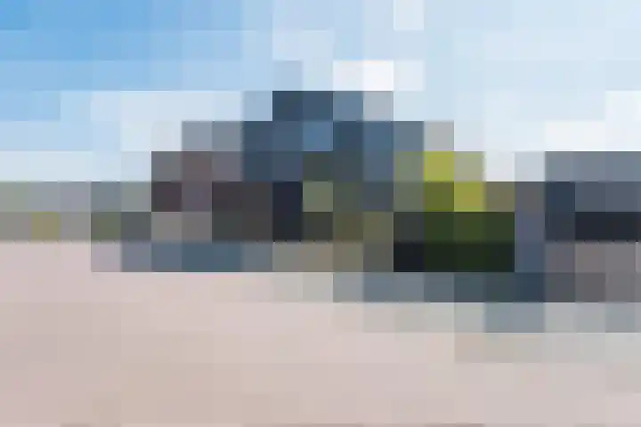Roode Hert 15 Zeewolde thumbnail 4
