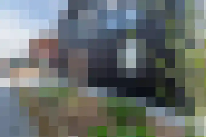 Roode Hert 15 Zeewolde thumbnail 5