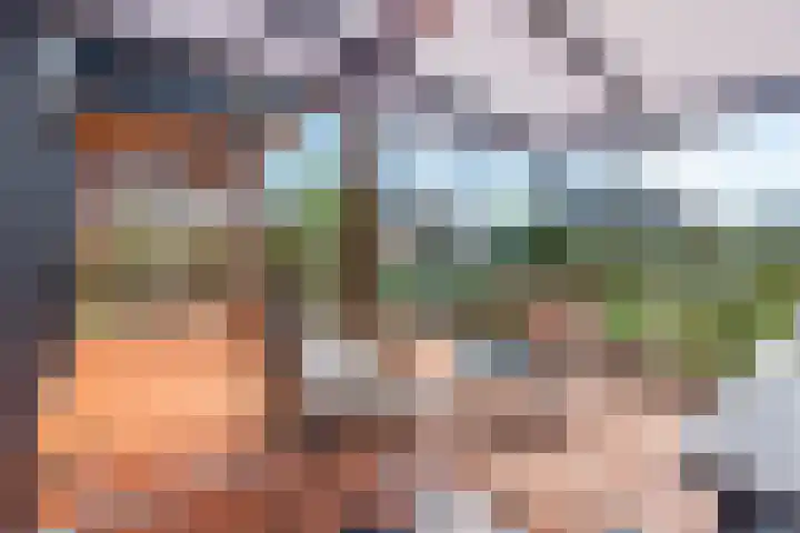 Roode Hert 15 Zeewolde thumbnail 64