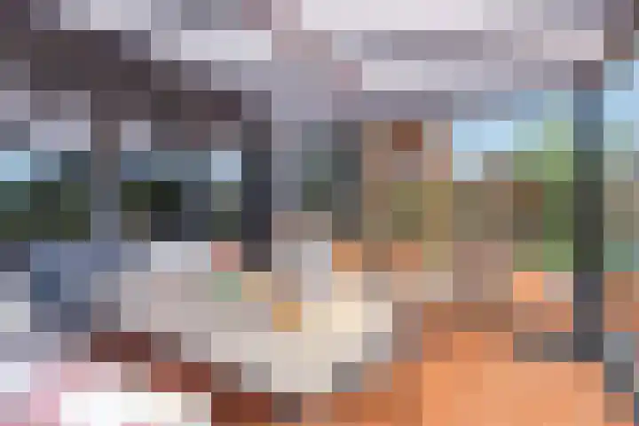 Roode Hert 15 Zeewolde thumbnail 65