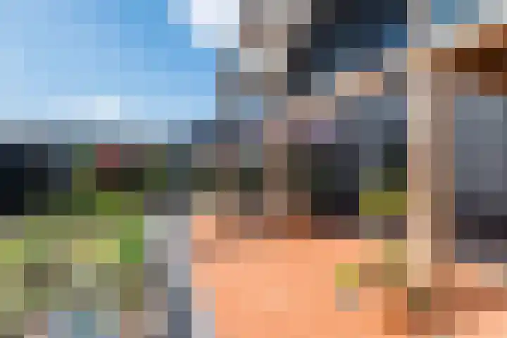 Roode Hert 15 Zeewolde thumbnail 67