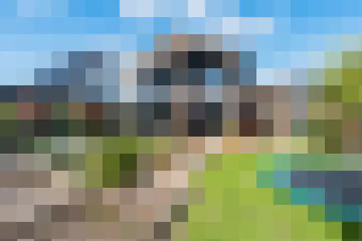 Roode Hert 15 Zeewolde thumbnail 68