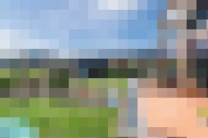 Roode Hert 15 Zeewolde thumbnail 69