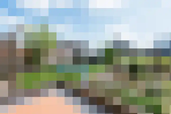Roode Hert 15 Zeewolde thumbnail 70