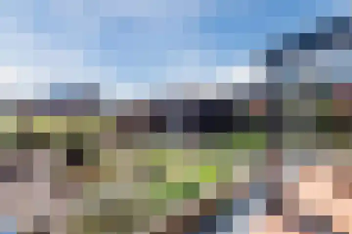 Roode Hert 15 Zeewolde thumbnail 72