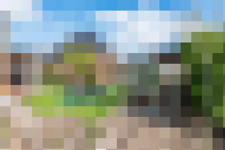 Roode Hert 15 Zeewolde thumbnail 73
